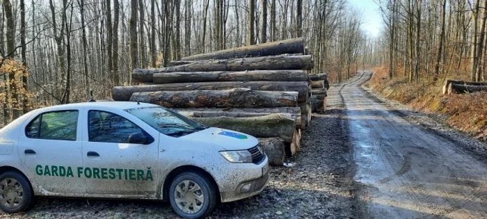 Guvernul anunță aproape 200 de noi locuri de muncă în cadrul Gărzii Forestiere