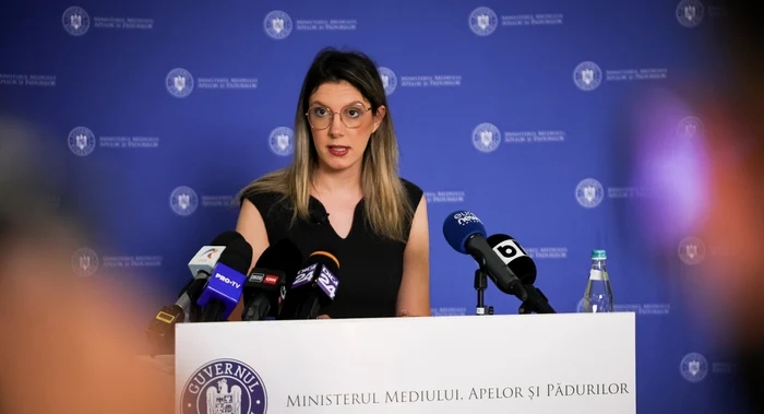 AMEPIP reacționează la critici privind numirile în Consiliul de Administrație al Romsilva